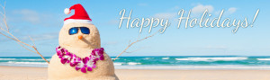 holiday_banner-892x267