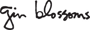 gin-blossoms-logo